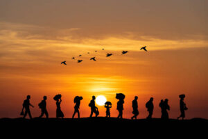 Migration
